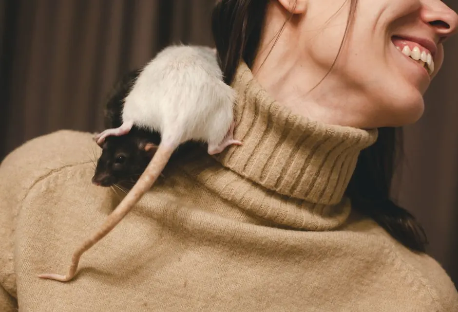 Rodent Control (Mice and Rats)